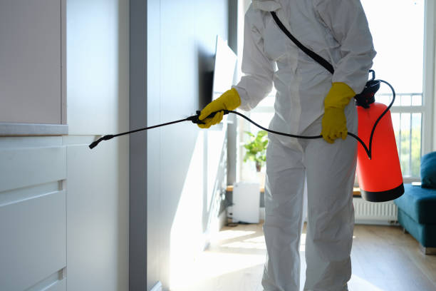 Professional Mold Removal in Portsmouth, OH